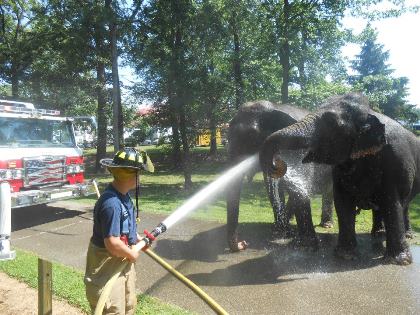 elephant shower.jpg